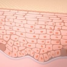 Sensitive Skin